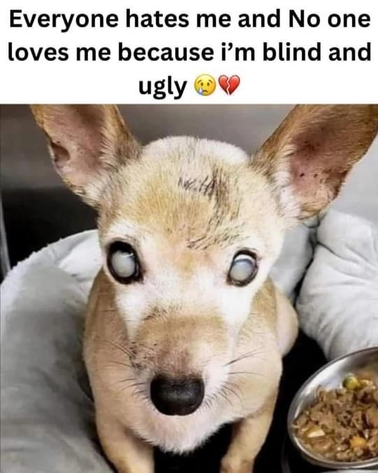 "Hated & Unloved Because I'm Blind and Ugly"? A Thousand Times NO! Your Heart is Pure Gold!