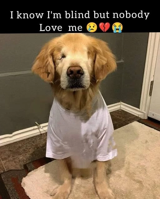 "Nobody Loves Me Because I'm Blind"? Impossible! Your Golden Heart is Pure Perfection!