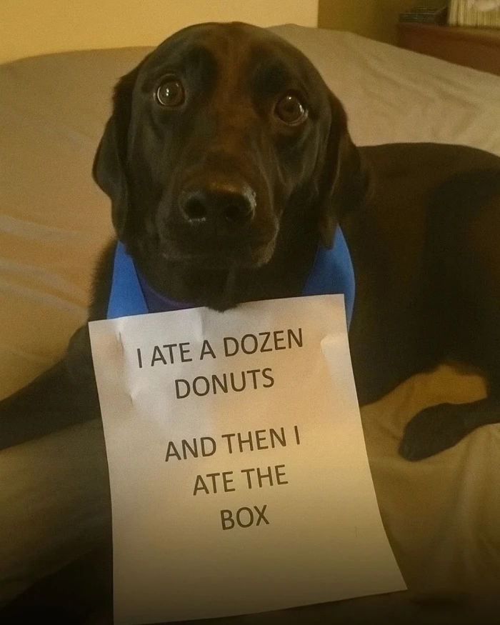 517154702 1291482155879596 2937908911886064817 n