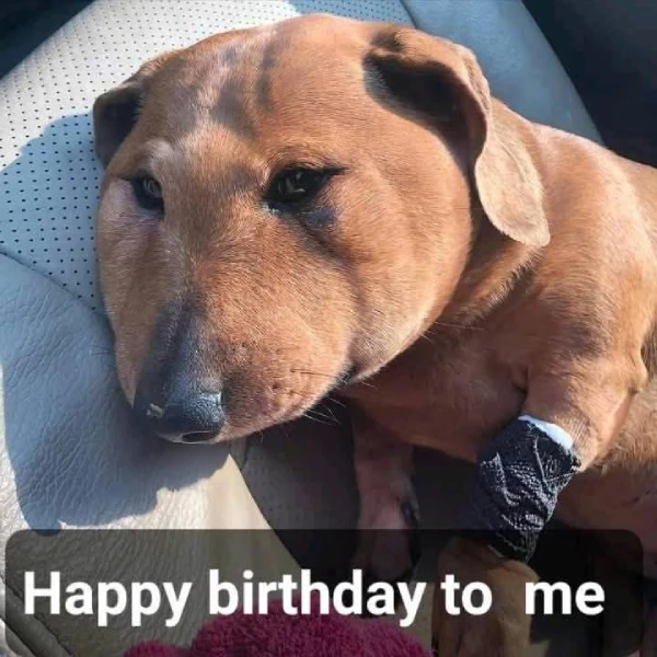 517378992 122168662154555478 8303173166632890011 n