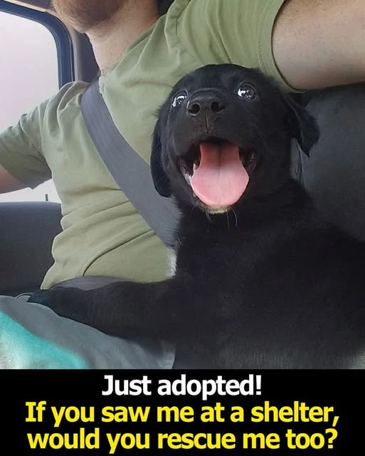 518416938 744204425160563 5979583571801421128 n (1)