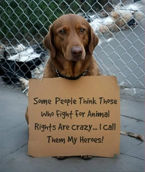 F9b7448d e923 4191 ab8e 3998c5426bee